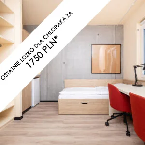 studio dwuosobowe - NextDoor